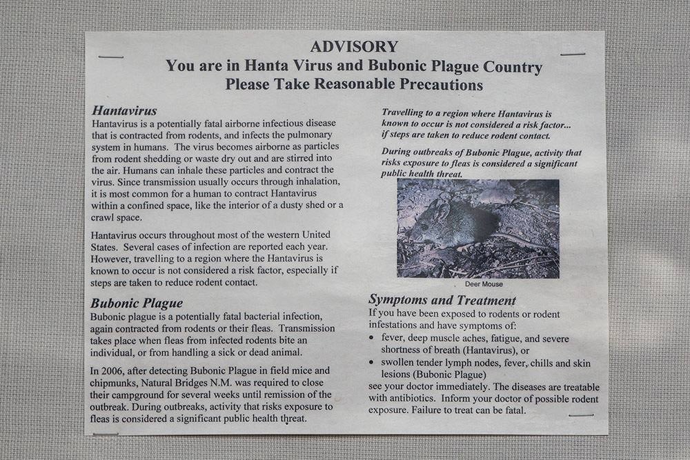 Hantavirus and Bubonic Plague