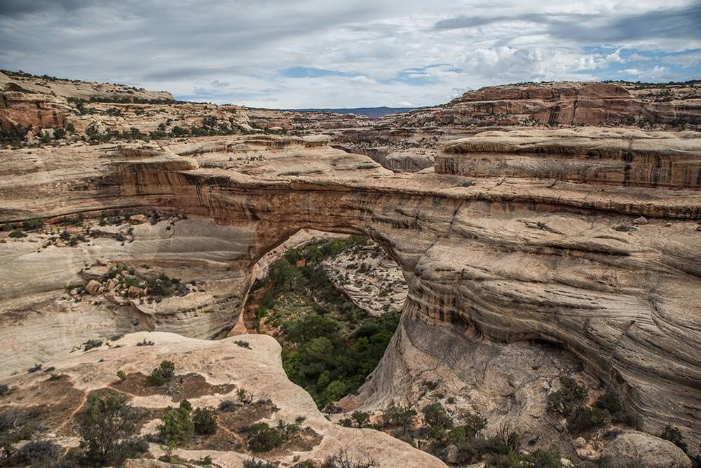 Natural Bridges National Monument