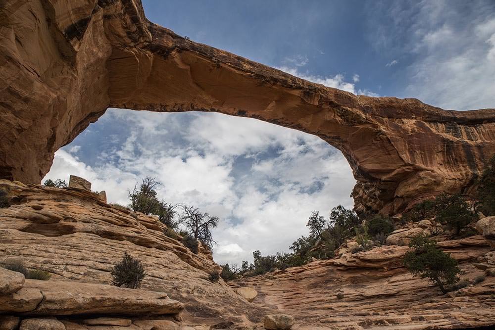 Natural Bridges National Monument