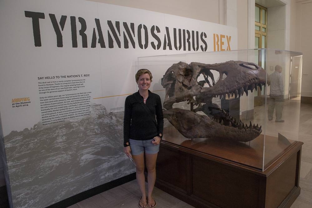 Tyrannosaurus Rex