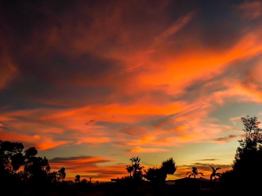 One last Baja Sunset before the Mainland. One last Baja Sunset before the Mainland.