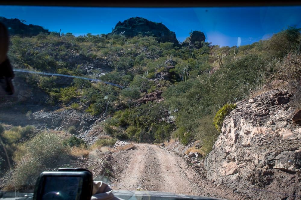 When we say main road, we don't mean a particularly busy thoroughfare. This is the view through the windscreen on the drive back out .