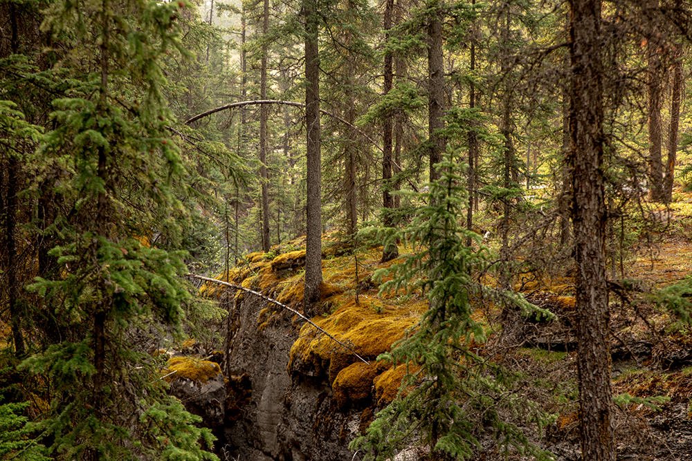 Post's featued image.
