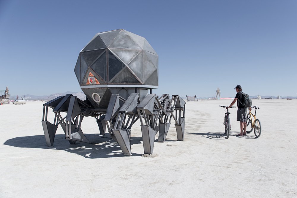 Burning Man 2014