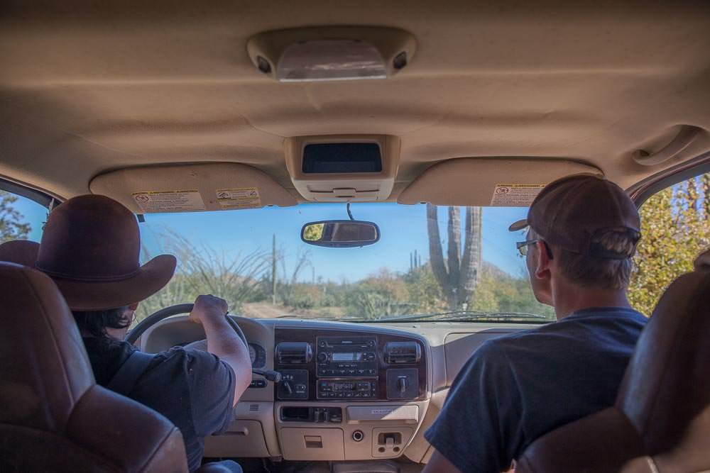 Going for a drive with Oscar and Peter in the front