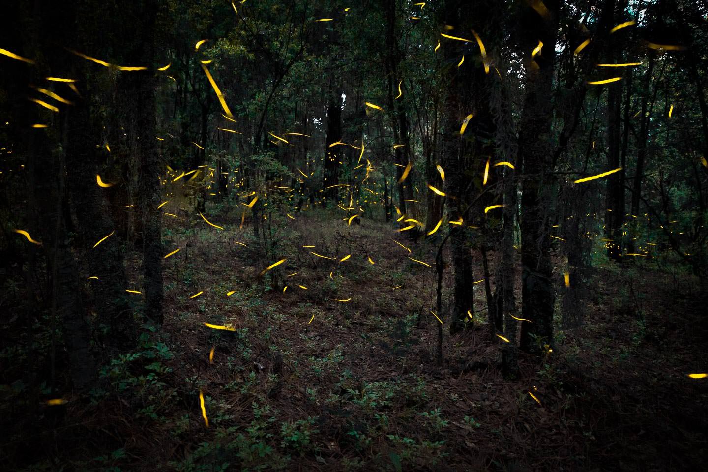 Post's featued image.
