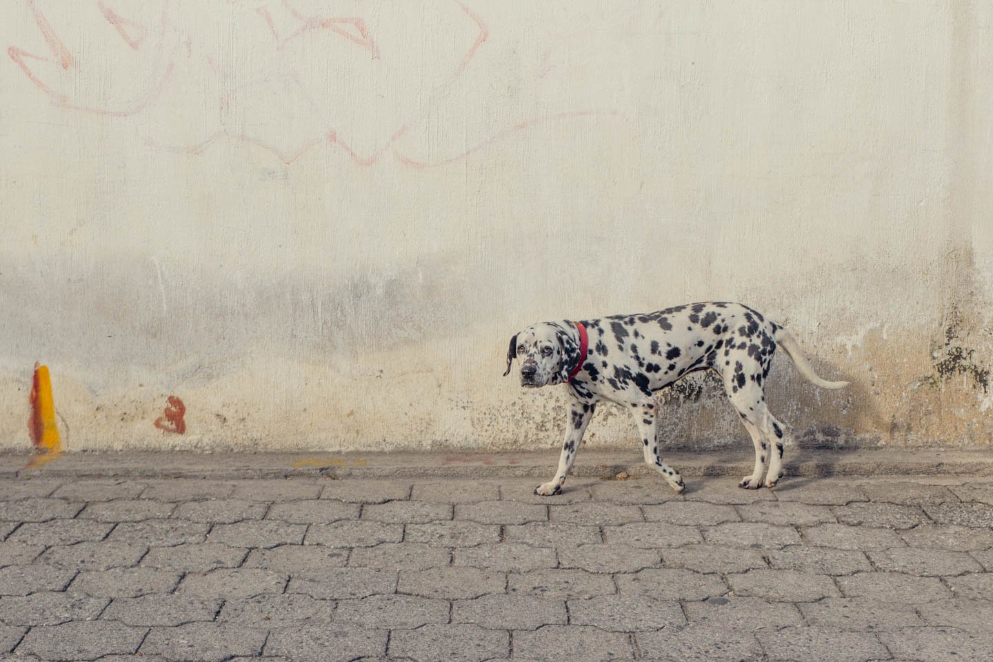 Post's featued image.